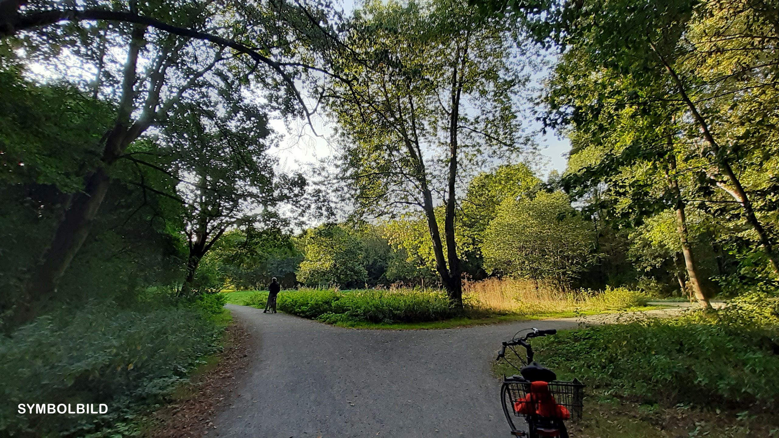 Wegscheide in einem Baumpark