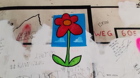 Eine Wandblume und Graffiti